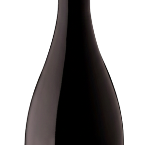 Sparkling Wine Malvasia de Colares 2022 Late Release