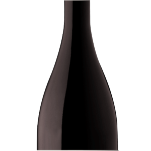 Espumante Malvasia de Colares 2023